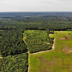 Photo of SOLD!!  9.09 Acres of Residential Farm Land For Sale in Halifax County NC!
