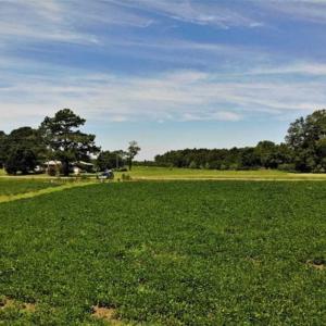 Photo of SOLD!!  9.09 Acres of Residential Farm Land For Sale in Halifax County NC!