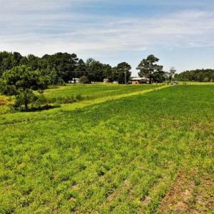 Photo of SOLD!!  9.09 Acres of Residential Farm Land For Sale in Halifax County NC!