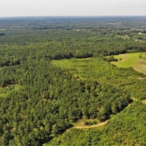 Photo of SOLD!!  9.09 Acres of Residential Farm Land For Sale in Halifax County NC!