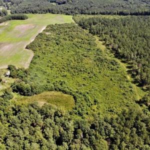 Photo of SOLD!!  9.09 Acres of Residential Farm Land For Sale in Halifax County NC!