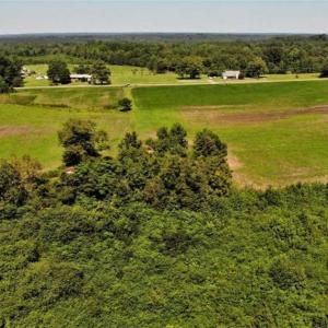 Photo of SOLD!!  9.09 Acres of Residential Farm Land For Sale in Halifax County NC!