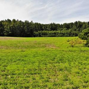 Photo of SOLD!!  9.09 Acres of Residential Farm Land For Sale in Halifax County NC!