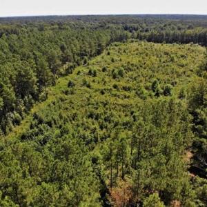 Photo of SOLD!!  9.09 Acres of Residential Farm Land For Sale in Halifax County NC!