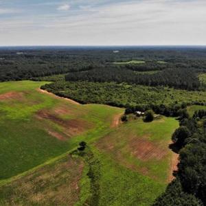 Photo of SOLD!!  9.09 Acres of Residential Farm Land For Sale in Halifax County NC!