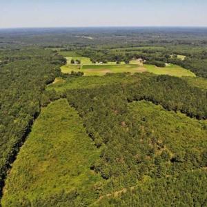 Photo of SOLD!!  9.09 Acres of Residential Farm Land For Sale in Halifax County NC!