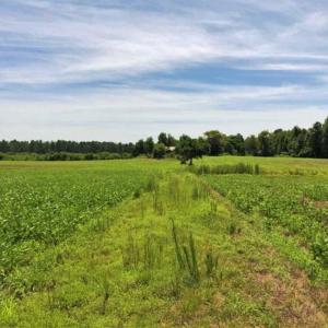 Photo of SOLD!!  9.09 Acres of Residential Farm Land For Sale in Halifax County NC!