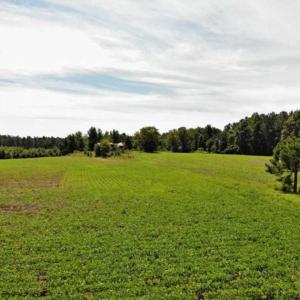 Photo of SOLD!!  9.09 Acres of Residential Farm Land For Sale in Halifax County NC!