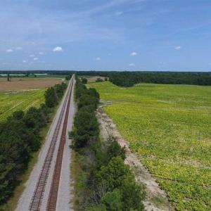 Photo of UNDER CONTRACT!!  130 Acres of Recreational and Residential Land For Sale in Robeson County NC!