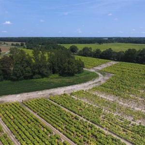 Photo of UNDER CONTRACT!!  130 Acres of Recreational and Residential Land For Sale in Robeson County NC!