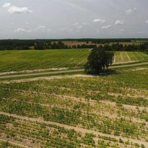 Photo of UNDER CONTRACT!!  130 Acres of Recreational and Residential Land For Sale in Robeson County NC!