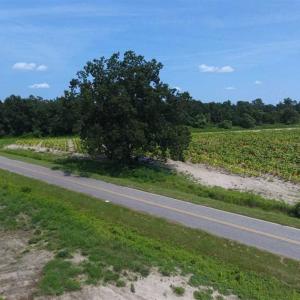 Photo of UNDER CONTRACT!!  130 Acres of Recreational and Residential Land For Sale in Robeson County NC!