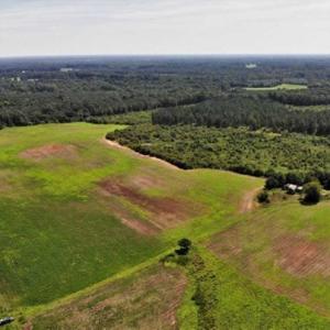 Photo of SOLD!!  9.08 Acres of Residential Farm Land For Sale in Halifax County NC!