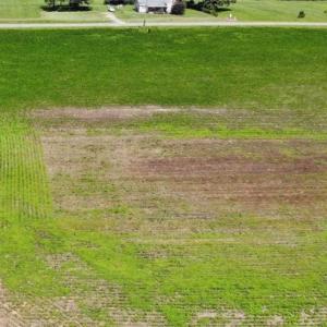 Photo of SOLD!!  9.08 Acres of Residential Farm Land For Sale in Halifax County NC!