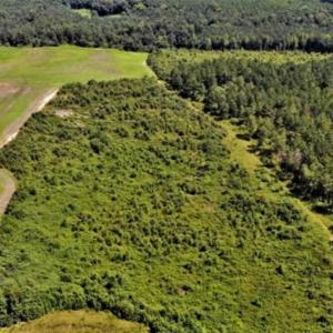 Photo of SOLD!!  9.08 Acres of Residential Farm Land For Sale in Halifax County NC!