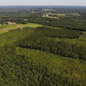 Photo of SOLD!!  9.08 Acres of Residential Farm Land For Sale in Halifax County NC!