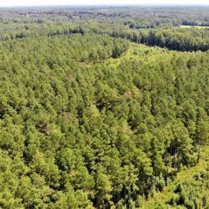 Photo of SOLD!!  9.08 Acres of Residential Farm Land For Sale in Halifax County NC!