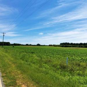 Photo of SOLD!!  9.08 Acres of Residential Farm Land For Sale in Halifax County NC!