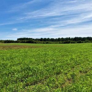 Photo of SOLD!!  9.08 Acres of Residential Farm Land For Sale in Halifax County NC!