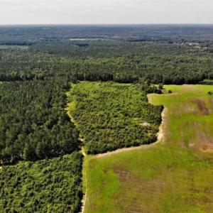 Photo of SOLD!!  9.08 Acres of Residential Farm Land For Sale in Halifax County NC!