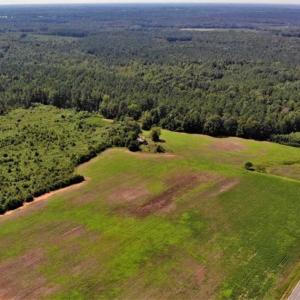 Photo of SOLD!!  9.08 Acres of Residential Farm Land For Sale in Halifax County NC!