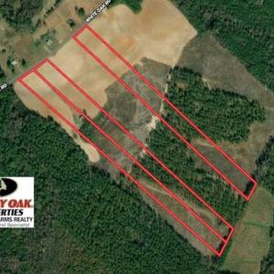 Photo of SOLD!!  9.08 Acres of Residential Farm Land For Sale in Halifax County NC!