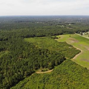 Photo of SOLD!!  9.08 Acres of Residential Farm Land For Sale in Halifax County NC!