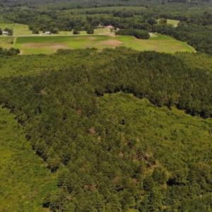 Photo of SOLD!!  9.08 Acres of Residential Farm Land For Sale in Halifax County NC!