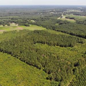 Photo of SOLD!!  9.08 Acres of Residential Farm Land For Sale in Halifax County NC!