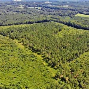Photo of SOLD!!  9.08 Acres of Residential Farm Land For Sale in Halifax County NC!