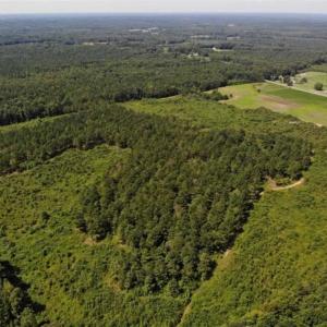Photo of SOLD!!  9.08 Acres of Residential Farm Land For Sale in Halifax County NC!