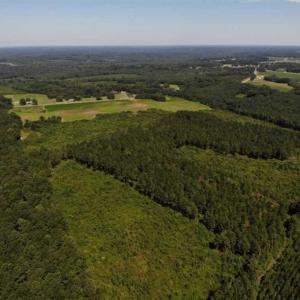 Photo of SOLD!!  9.08 Acres of Residential Farm Land For Sale in Halifax County NC!