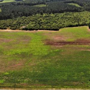 Photo of SOLD!!  9.08 Acres of Residential Farm Land For Sale in Halifax County NC!