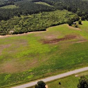 Photo of SOLD!!  9.08 Acres of Residential Farm Land For Sale in Halifax County NC!