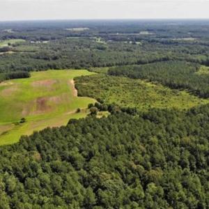 Photo of SOLD!!  9.08 Acres of Residential Farm Land For Sale in Halifax County NC!