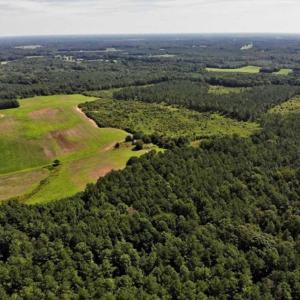 Photo of SOLD!!  9.06 Acres of Residential Farm Land For Sale in Halifax County NC!