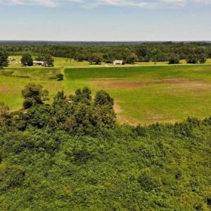 Photo of SOLD!!  9.06 Acres of Residential Farm Land For Sale in Halifax County NC!