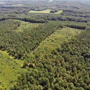 Photo of SOLD!!  9.06 Acres of Residential Farm Land For Sale in Halifax County NC!
