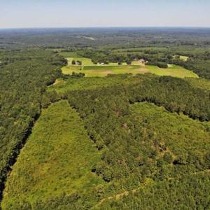 Photo of SOLD!!  9.06 Acres of Residential Farm Land For Sale in Halifax County NC!