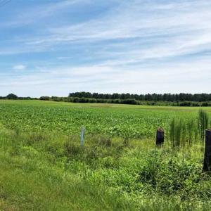 Photo of SOLD!!  9.06 Acres of Residential Farm Land For Sale in Halifax County NC!