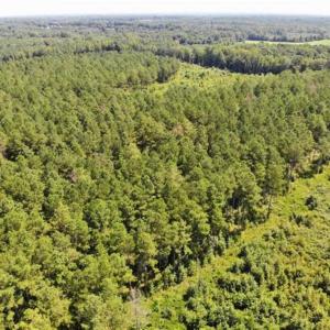 Photo of SOLD!!  9.06 Acres of Residential Farm Land For Sale in Halifax County NC!