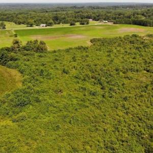 Photo of SOLD!!  9.06 Acres of Residential Farm Land For Sale in Halifax County NC!
