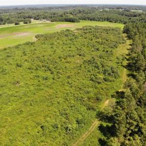 Photo of SOLD!!  9.06 Acres of Residential Farm Land For Sale in Halifax County NC!