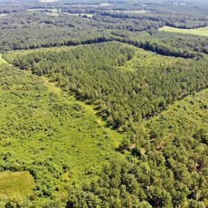 Photo of SOLD!!  9.06 Acres of Residential Farm Land For Sale in Halifax County NC!