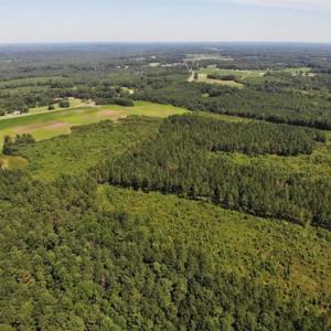 Photo of SOLD!!  9.06 Acres of Residential Farm Land For Sale in Halifax County NC!