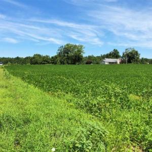 Photo of SOLD!!  9.06 Acres of Residential Farm Land For Sale in Halifax County NC!