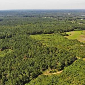 Photo of SOLD!!  9.06 Acres of Residential Farm Land For Sale in Halifax County NC!