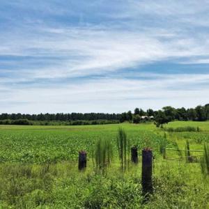 Photo of SOLD!!  9.06 Acres of Residential Farm Land For Sale in Halifax County NC!
