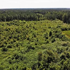 Photo of SOLD!!  9.06 Acres of Residential Farm Land For Sale in Halifax County NC!