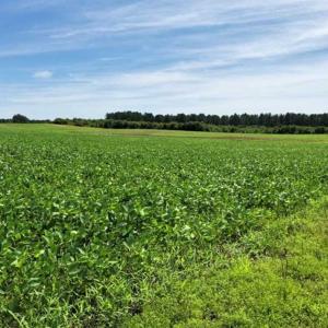 Photo of SOLD!!  9.06 Acres of Residential Farm Land For Sale in Halifax County NC!